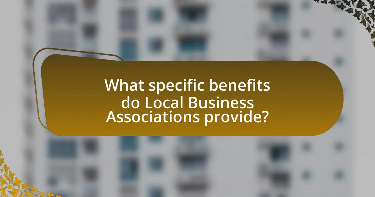 What specific benefits do Local Business Associations provide?